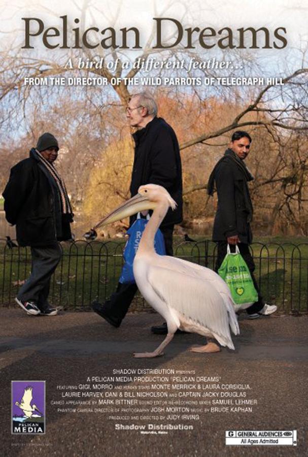 Pelican documentary soars 