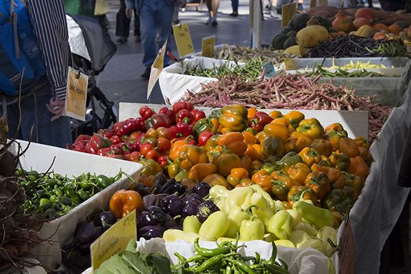 NYU Langone has partnered with the Local Roots Community Supported Agriculture to make local produce accessible to Medical Students and Employees.