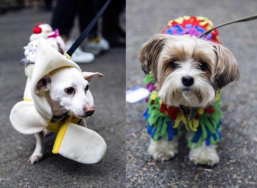 These party animals bring color to the festivities at Tompkins Square. The Little Guy is a delicious Banana Split, down to the sprinkles. Oliver, the Parti-Yorkie is a piñata you wouldn’t dare to hit (he’s probably sweeter than candy, anyway).