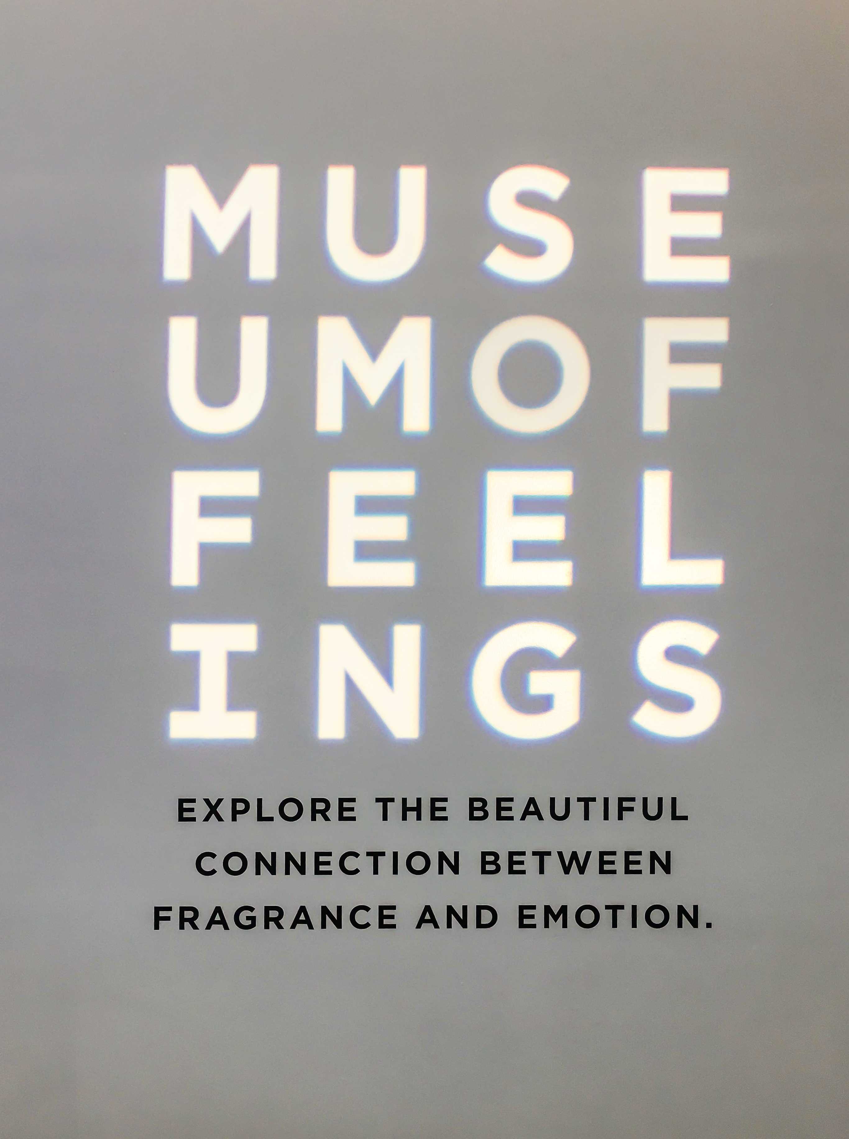 Museum+of+Feelings+makes+you+feel+things