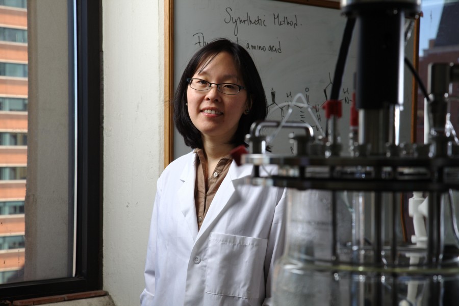 NYU Tandon associate professor Jin Kim Montclare has been named a 2016 Rising Star of chemical engineering.