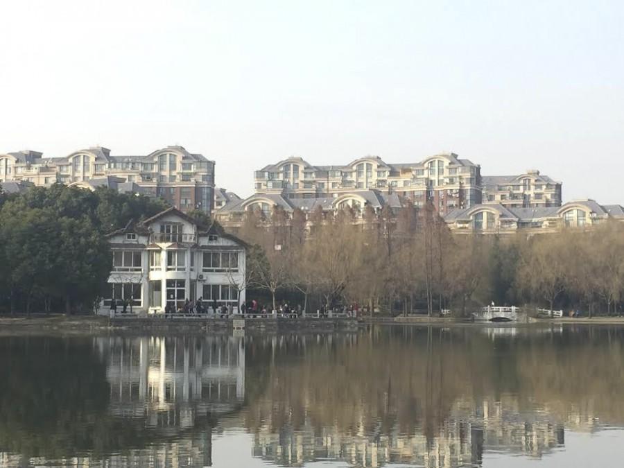 A view of the lake at Jinqiao Park in Shanghai near the Jinqiao Residence Hall. 