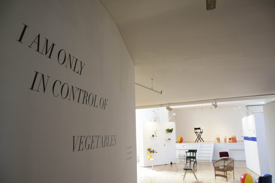 “I am only in control of vegetables” is a Steinhardt student art gallery on display through September 24.
