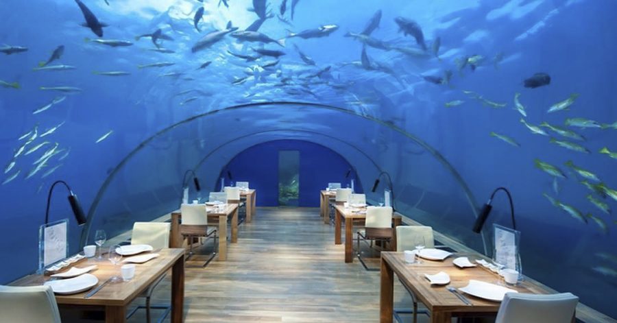 Ithaa is a restaurant in the Maldives that is completely underwater, giving you the opportunity to eat under the sea.
