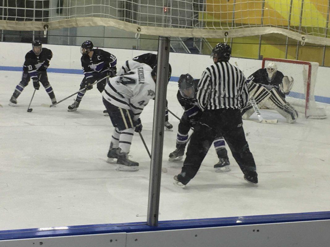 hockey_emily-fong