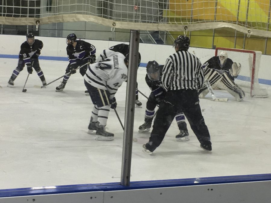 The NYU hockey team saw victory this past weekend, winning 9-1 and Siena College and 4-3 at the University of New Hampshire.
