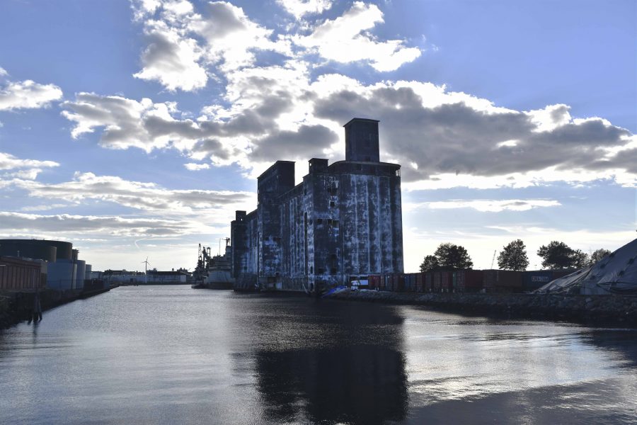 The Red Hook Grain Terminal in Brooklyn has been abandoned since 1965