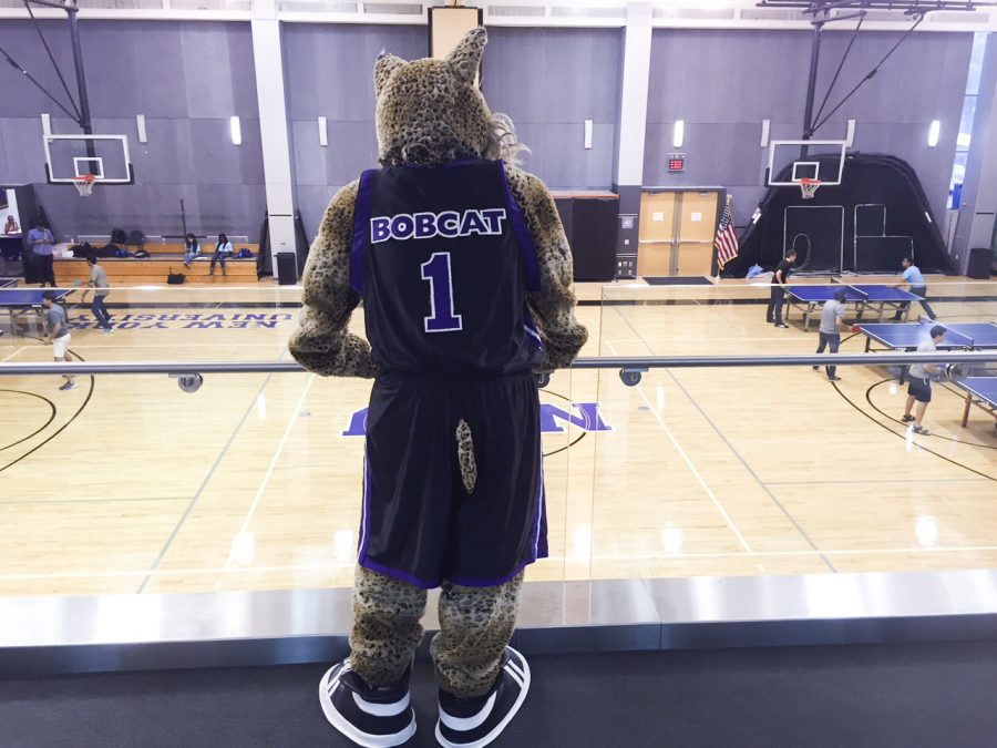 The NYUs mascot makes appearances on campus at special events, but calls the basketball games their primary home. 