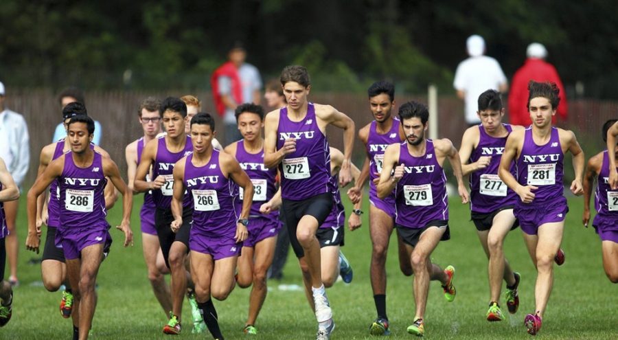 For the first time since 2013, the mens’ cross country team competed in the NCAA Division III championship.
