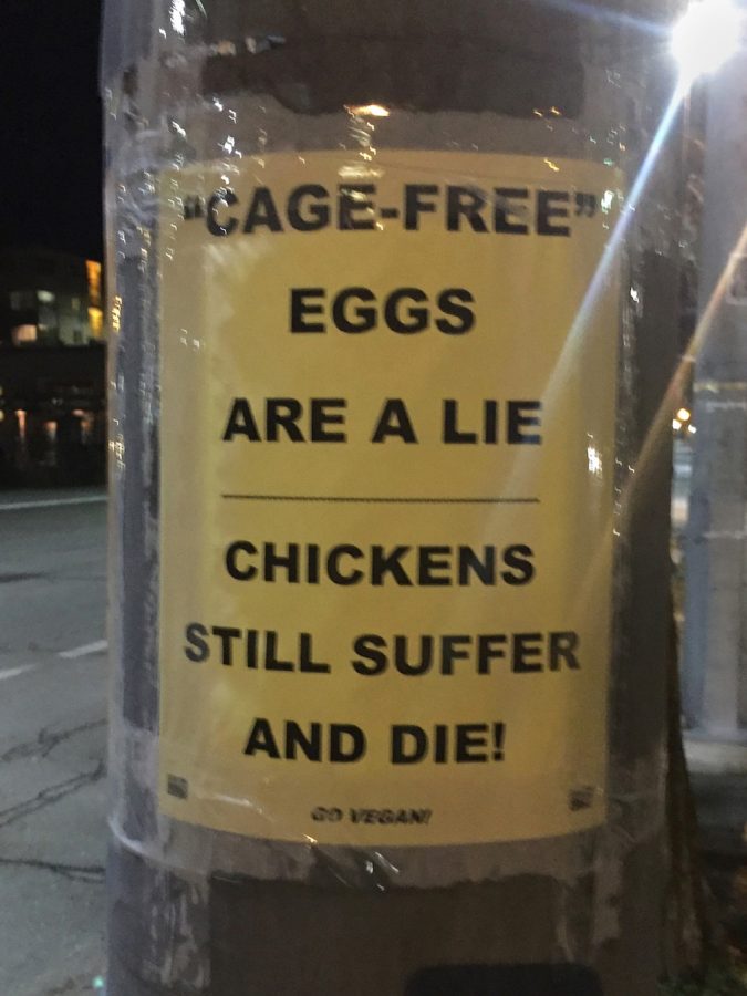The labels on food products can often be misleading because the vocabulary they use.  Cage free labels for poultry products are meaningless because most birds are not typically caged.
