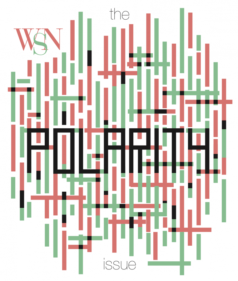 The Polarity Issue