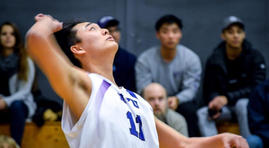 Stern freshman Adam Lee exemplifies his skills as the outside hitter by getting 10 kills during NYU’s game against New Jersey City University on Feb. 22. In the end, the Violets demolished New Jersey City 3-0.   