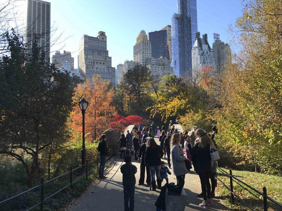 Though not Washington Square Park, Central Park provides a lovely panoramic view of the lake. It’s perfect for those staying over during spring break and looking for a new park to explore in depth.