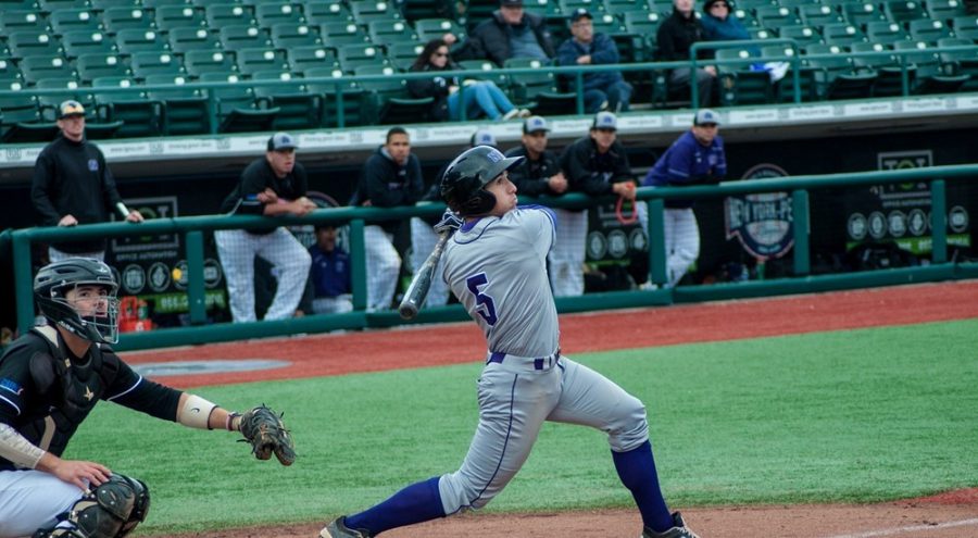 Adrian+Spitz+batting+during+the+NYU+baseball+team%E2%80%99s+spring+break+tournament+in+Florida%2C+March+20.+Spitz+transferred+to+NYU+from+Northeastern+in+2015%2C+and+has+earned+honours+from+the+University+Athletic+Association+and+the+Eastern+College+Athletic+Conference+among+others.