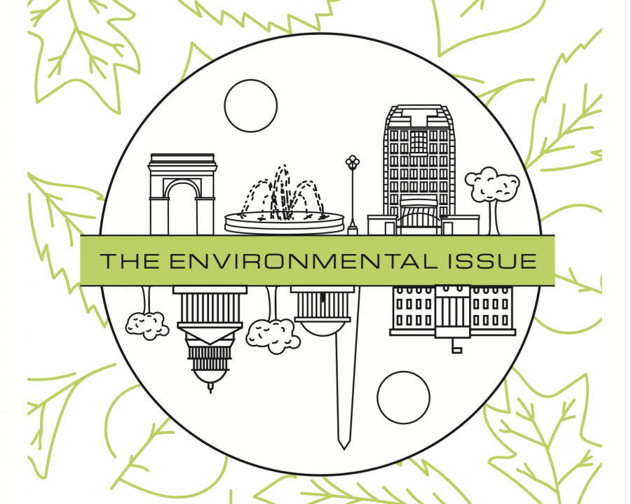 The Environmental Issue