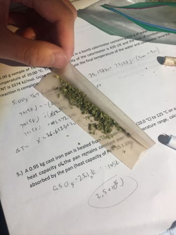 Steinhardt senior Alexander Lehktman, the president of NYU’s chapter of SSDP, led a trip to Albany along with six others on April 24 to lobby for the Marijuana Regulation and Taxation Act. The bill would effectively legalize adult use of cannabis in New York. 
