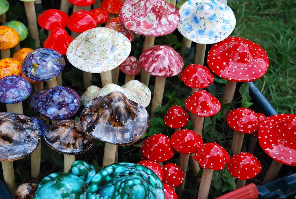 Researchers combine with weeks of psychotherapy with a single dose of Psilocybin to improve the quality of life of recently diagnosed cancer patients