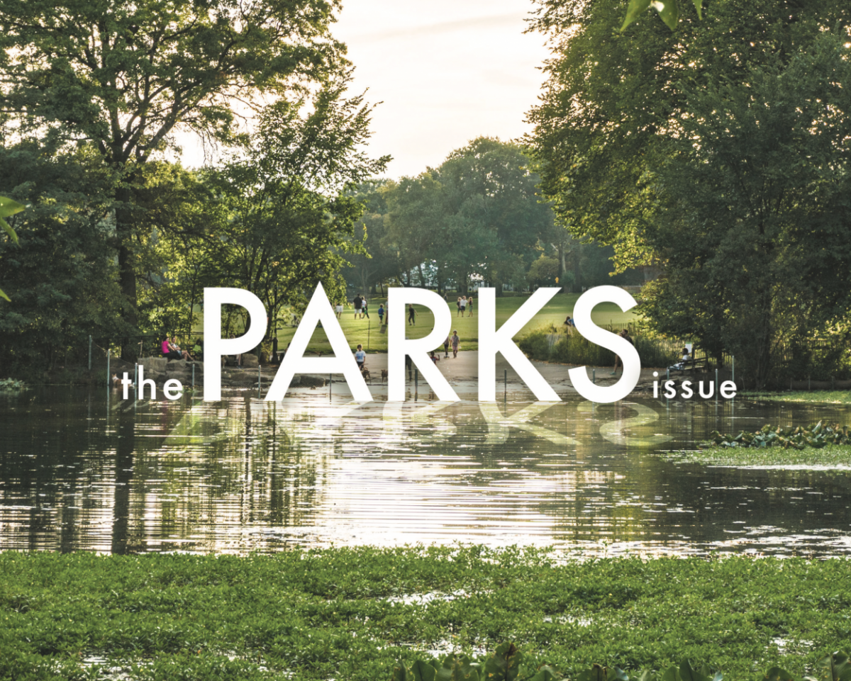 The Parks Issue