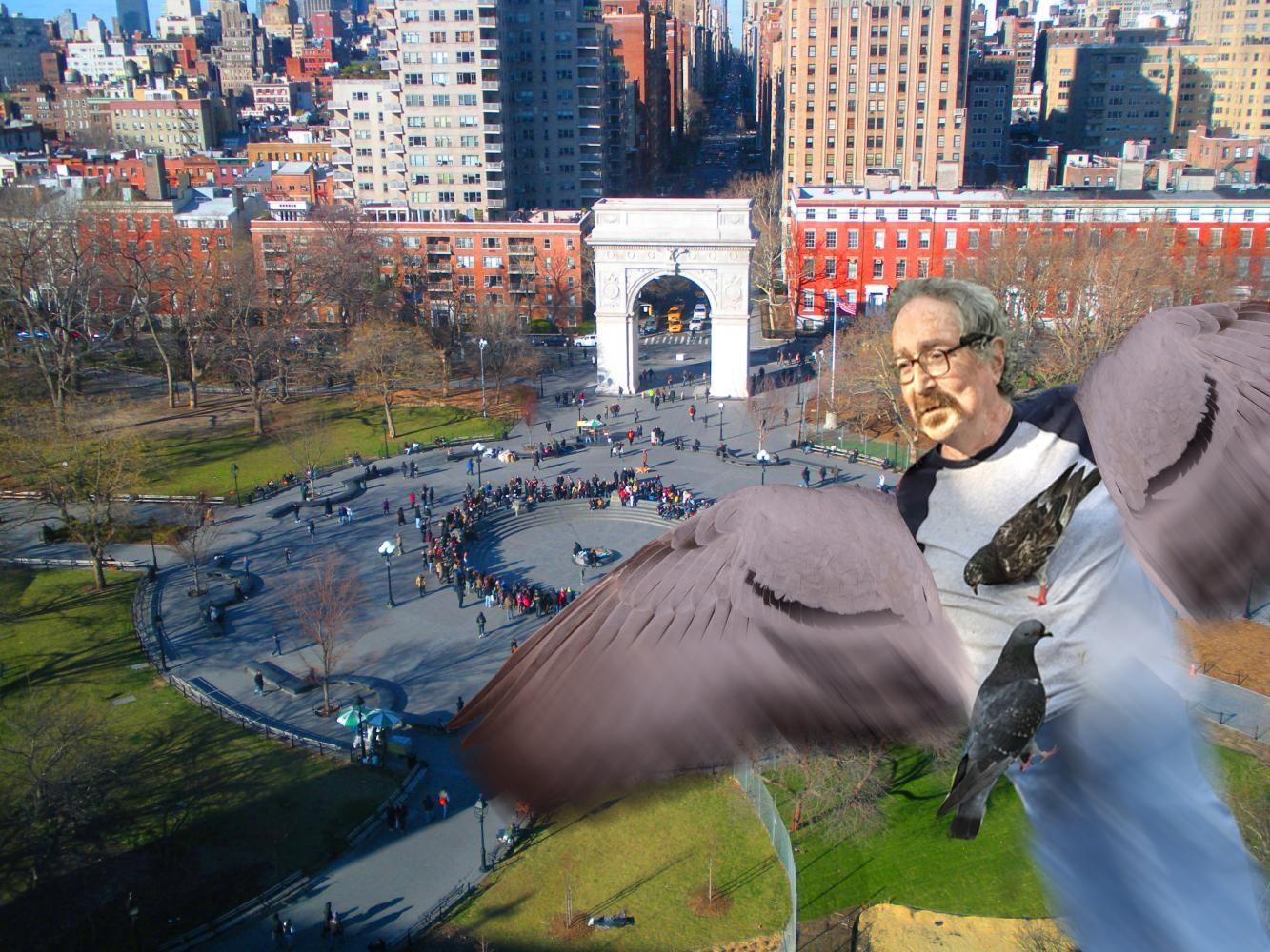 HUMOR: Pigeon Man Grants Final Wish Before Flying South For Winter