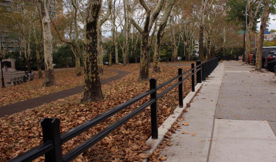 Leaves change color in Central Park.