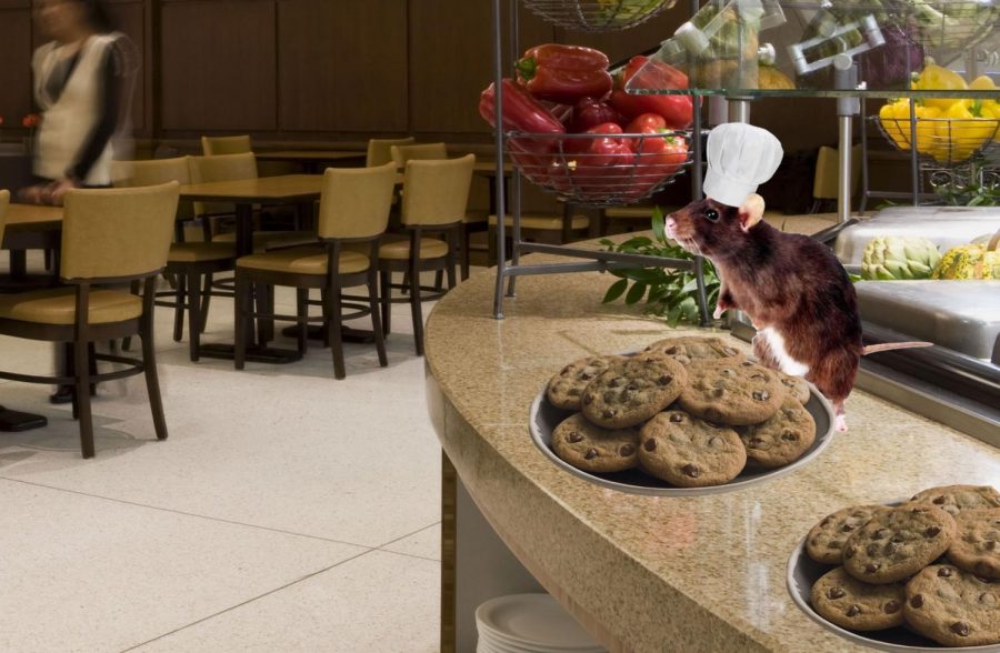 Bertram and his famous chocolate-chip cookies