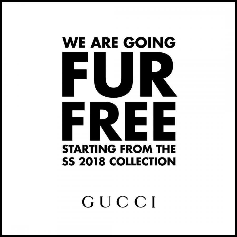 Gucci decided to remove animal fur from all collections, beginning from Gucci Spring Summer 2018.