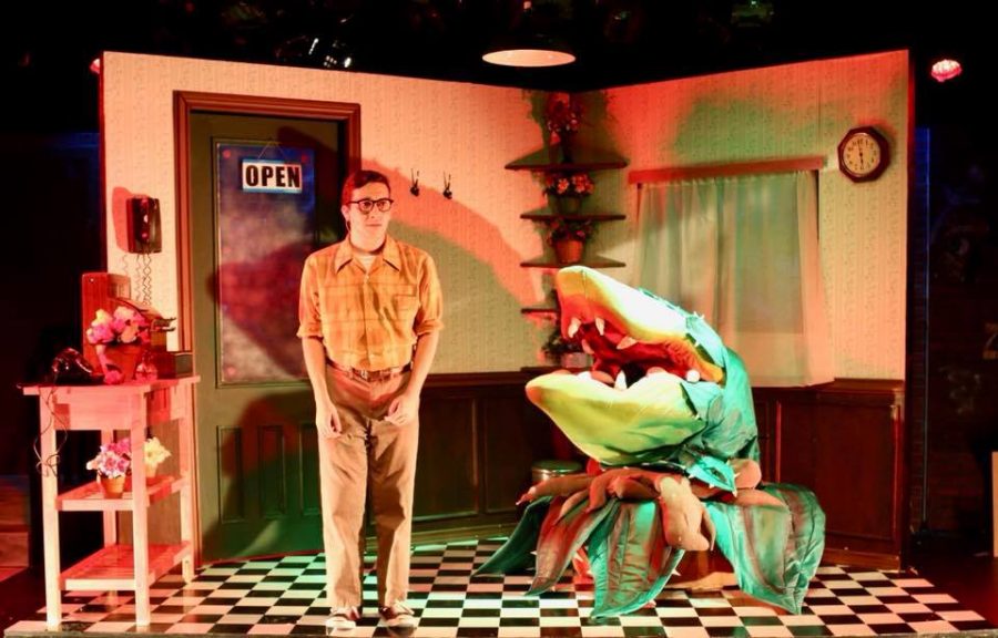 Steinhardt senior Daniel Youngelman plays the lead role of Seymour in Little Shop of Horrors.