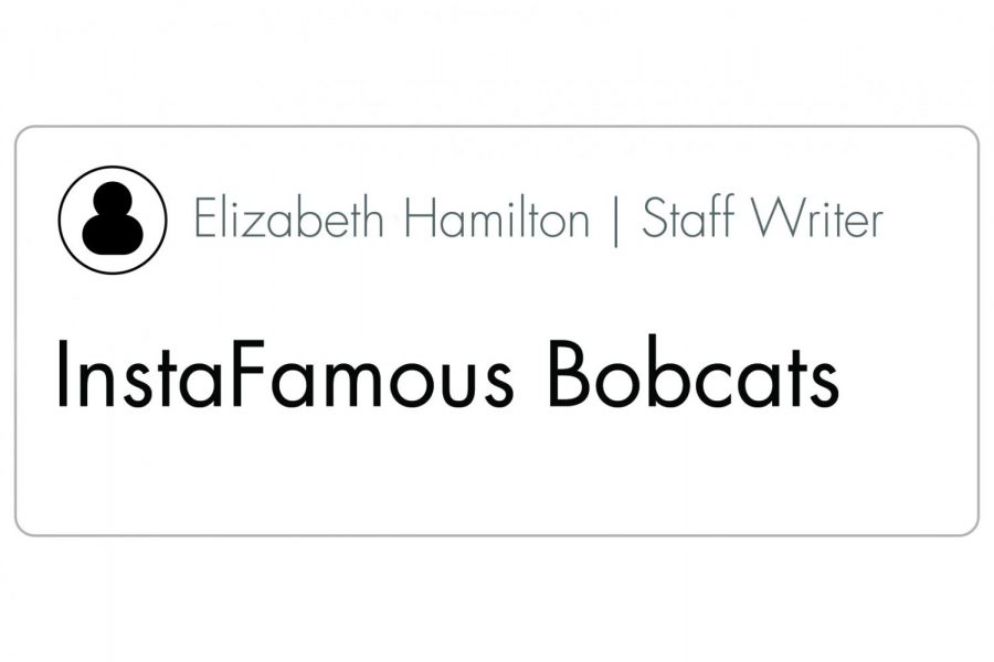 InstaFamous+Bobcats