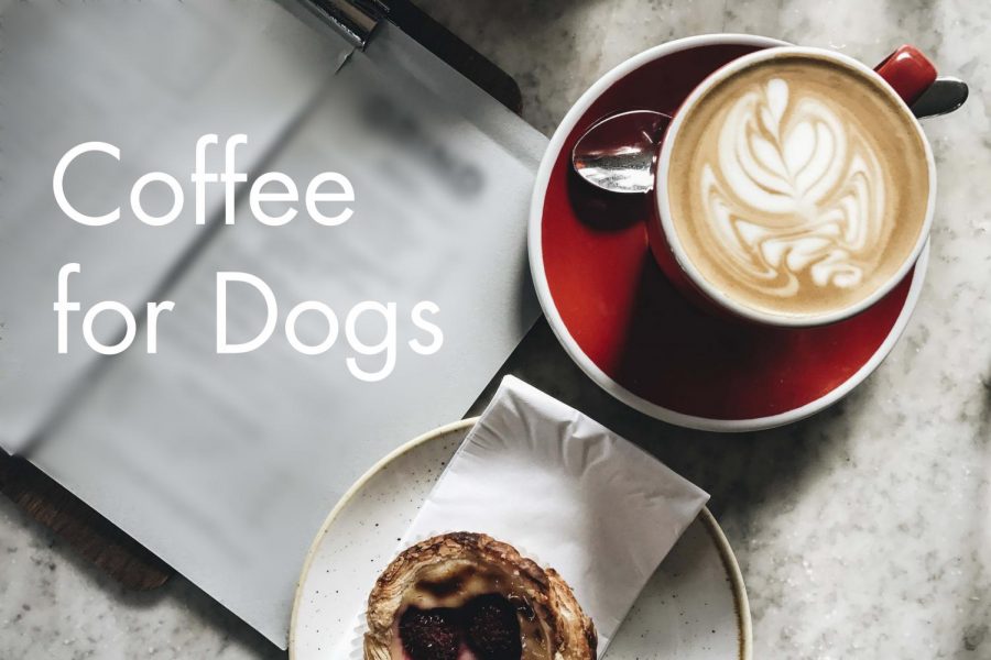 Coffee+For+Dogs