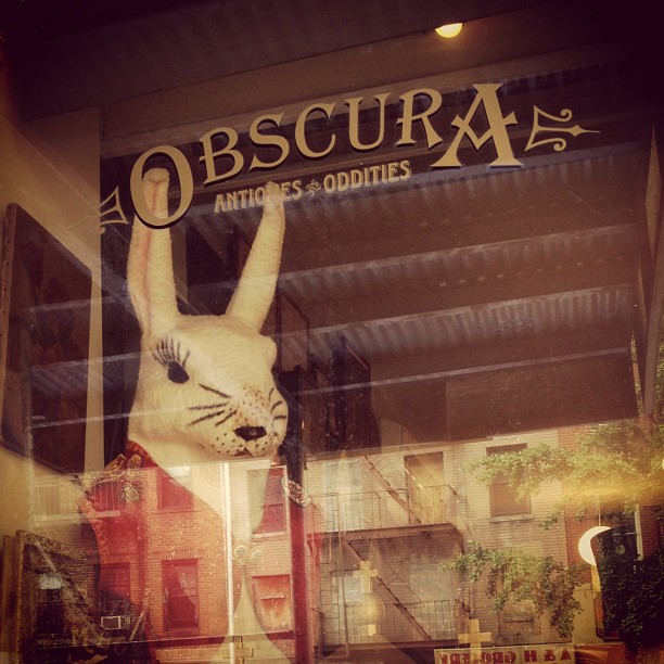 Storefront of Obscura Antiques and Oddities, featuring a taxidermied rabbit. Located in the East Village, Obscura is one of several unique antique stores around NYU.