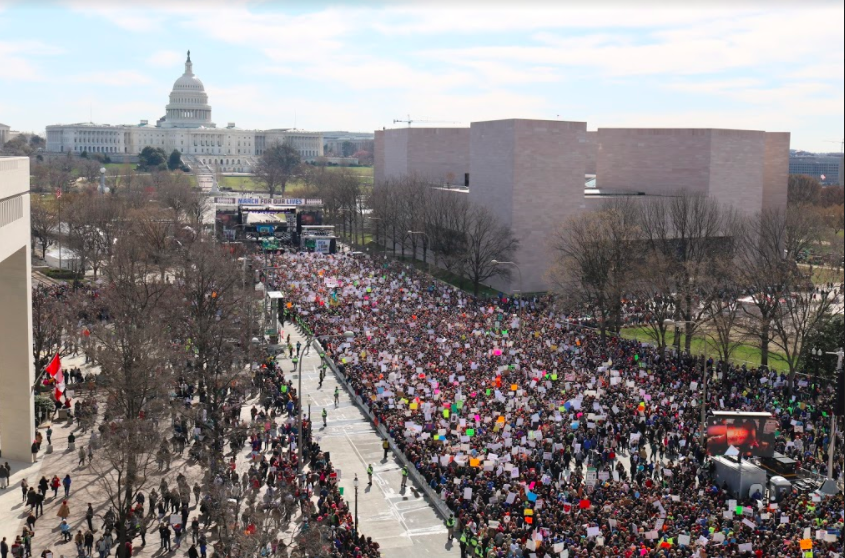 An estimated 800,000 protestors joined together at the March for Our Lives in D.C. 