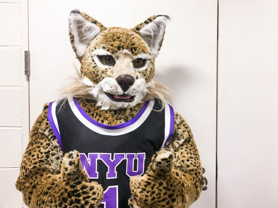 NYU’s mascot, the Bobcat.
