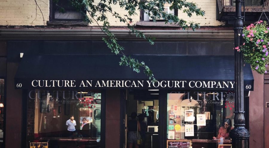 Culture is a small, independently owned frozen yogurt shop housed in a quaint and easily overlooked space in Greenwich Village.