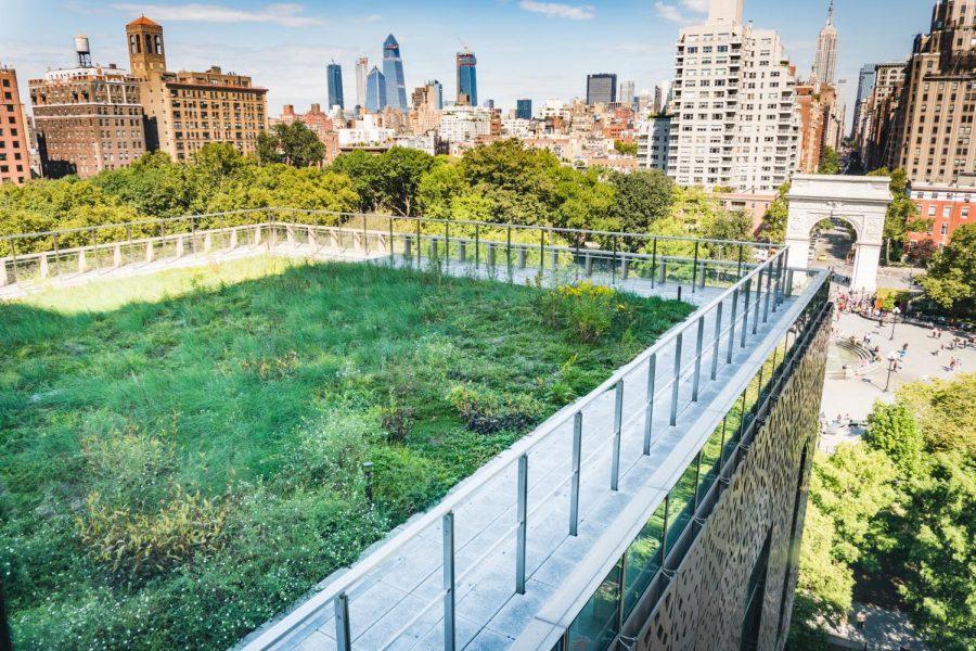 238 Thompson Rooftop Garden, one of NYU’s landscaping projects, sits on top of the Global Center for Academic and Spiritual Life. (Staff photo by Tony Wu)