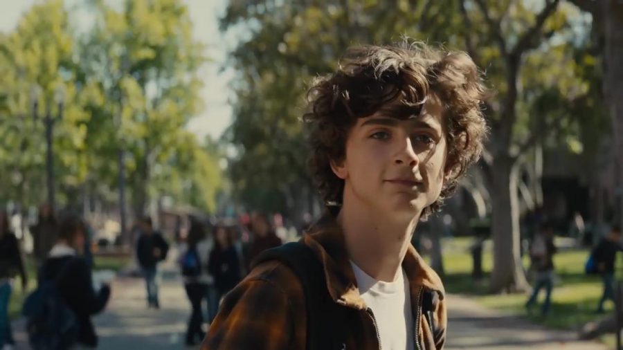 Timothee Chalamet in "Beautiful Boy." (via youtube.com)