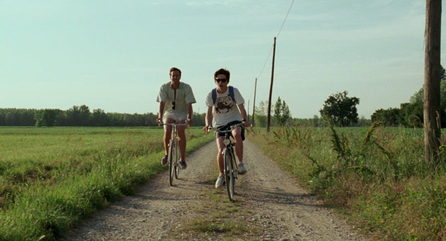 Armie Hammer and Timothée Chalamet in a scene from Call Me By Your Name, one of the films part of Luca Guadagninos Desire Trilogy. (via facebook.com)