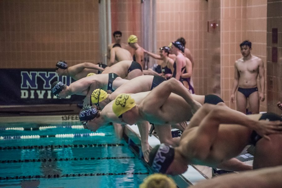 NYU Swimmers during a meet on Oct. 6. First-year swimmer Graham Chatoor set conference and NYU records to earn national berths in the 1650-yard and 500-yard freestyle. (Photo by Sam Klein)