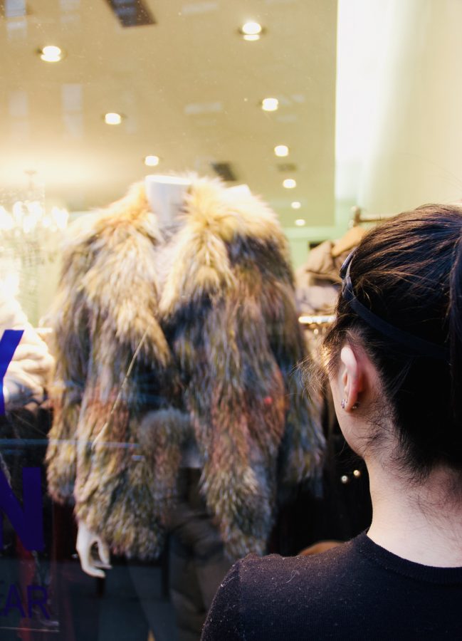 A+fur+coat+in+a+SoHo+clothing+store+window.+%28Photo+by+Jorene+He%29