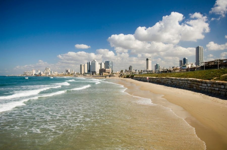 A+beach+near+the+NYU+Tel+Aviv+campus.+%28via+NYU%29