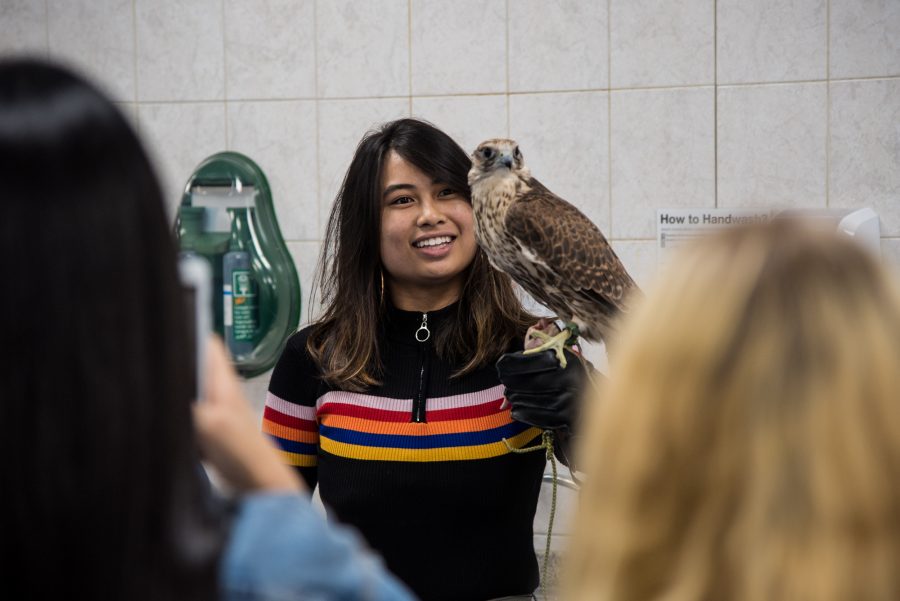 CAS junior Isay Acenas visits a falcon hospital in the United Arab Emirates in January. Isay has done research in the UAE, studied in Sydney and Buenos Aires and will study in Madrid next spring. (Staff Photo by Sam Klein)