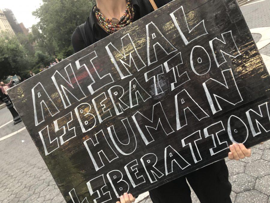 Protestors hold signs at the March of Silence. (Photo by Bianca Brutus)