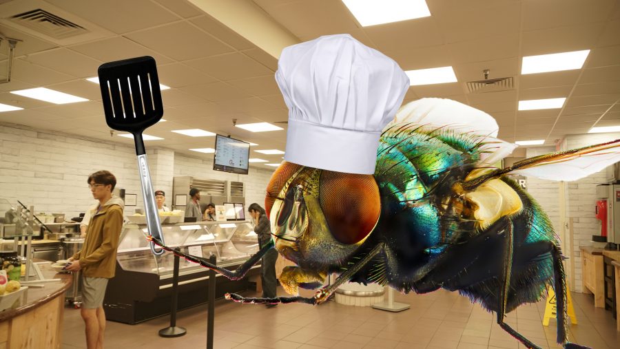 Palladium Dining Hall’s head chef, Filipe Flynn, is a filth fly. He may be a fly, but he also has a wife and a children of maggots to take care of. (Staff Illustration by Min Ji Kim | Photo by Max Lerner) 