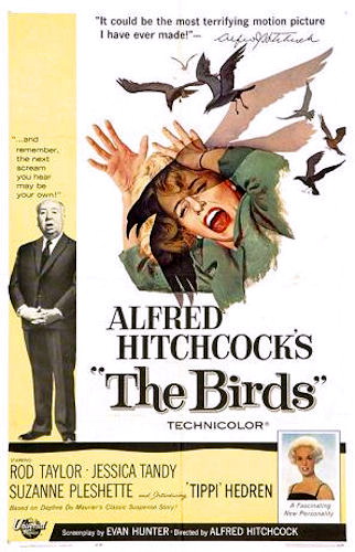 Promotional poster of The Birds. The Birds is a 1963 American horror film directed by Hitchcock. (Via Wikimedia Common) 
