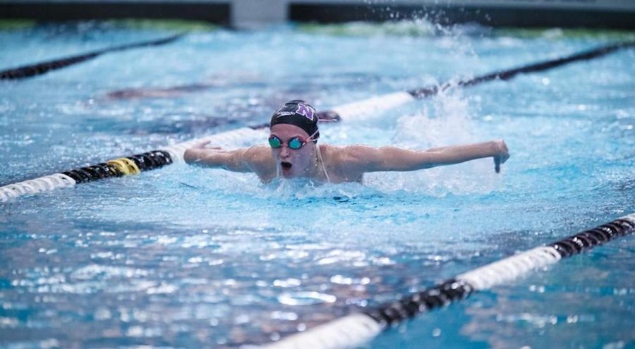 Stern Senior Honore Collins swims for NYU Women's Swimming & Diving team. (via NYU Athletics)