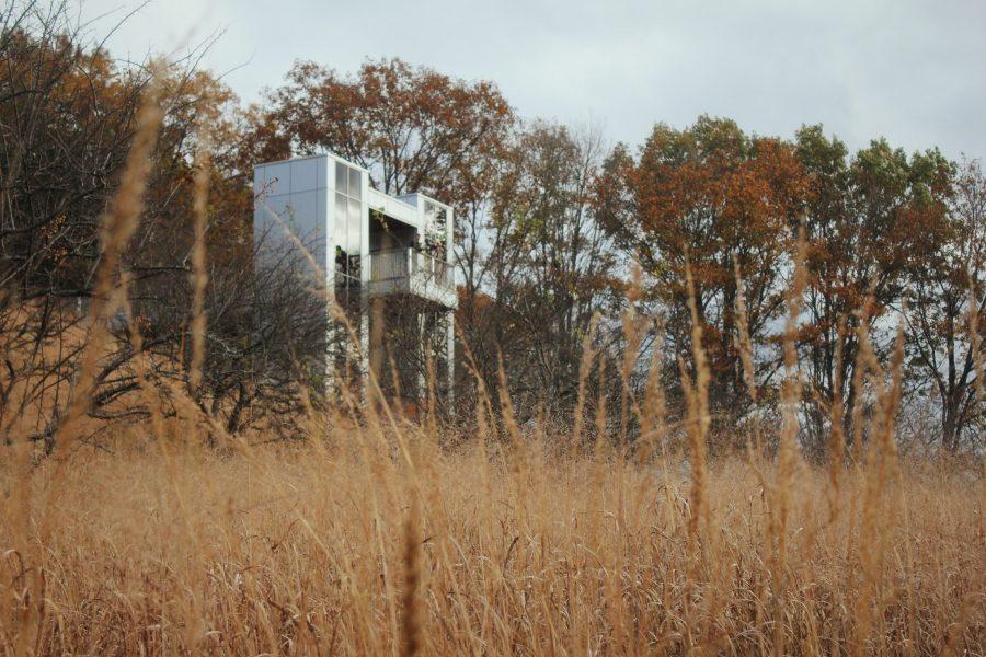 A reflective watchtower situated behind a field of tall grass.
