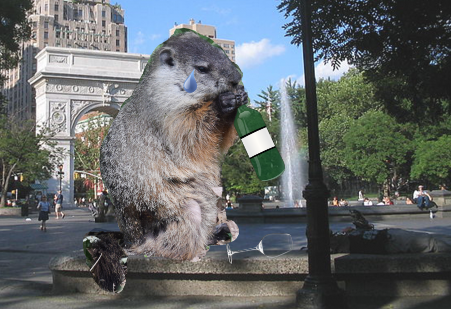 New York City's own resident groundhog Alwayscrying Alex of Washington Square Park forecasts more depressing winter days. (Staff Illustration by Alexandra Chan)