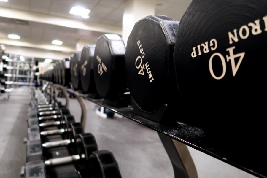 The Palladium Athletic Facility also offers a wide array of gym equipment for fitness enthusiasts. Though the sport can be time-consuming, bodybuilders have found NYU facilities useful for weightlifting. (Staff Photo by Chelsea Li)