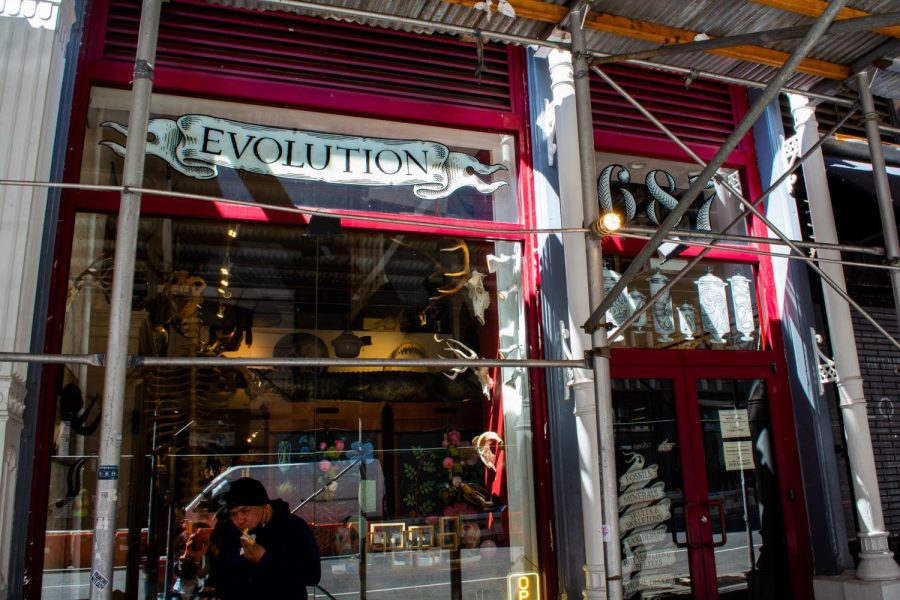 The+Evolution+Store%2C+founded+in+1993%2C+is+a+museum-style+shop+located+on+687+Broadway.+This+family-owned+business+carries+science+%26+natural+history-related+items.+%28Staff+Photo+by+Manasa+Gudavalli%29