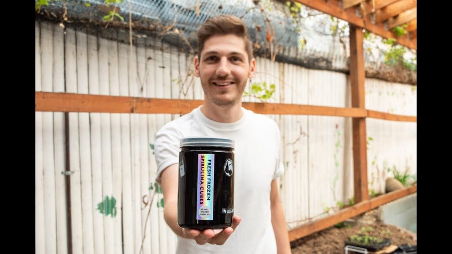 How an NYU Tandon alumnus is growing the sustainable superfood spirulina