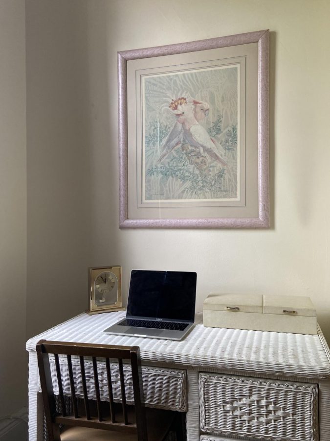 A white desk is centered below a painting of two birds. Alejandro Villa Vasquez shares his zoom set up. (Photo by Alejandro Villa Vasquez)